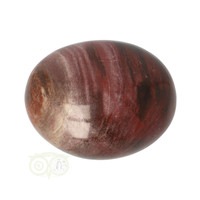 Versteend hout handsteen Nr 12 - 68  gram - Madagaskar