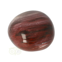 thumb-Versteend hout handsteen Nr 12 - 68  gram - Madagaskar-7