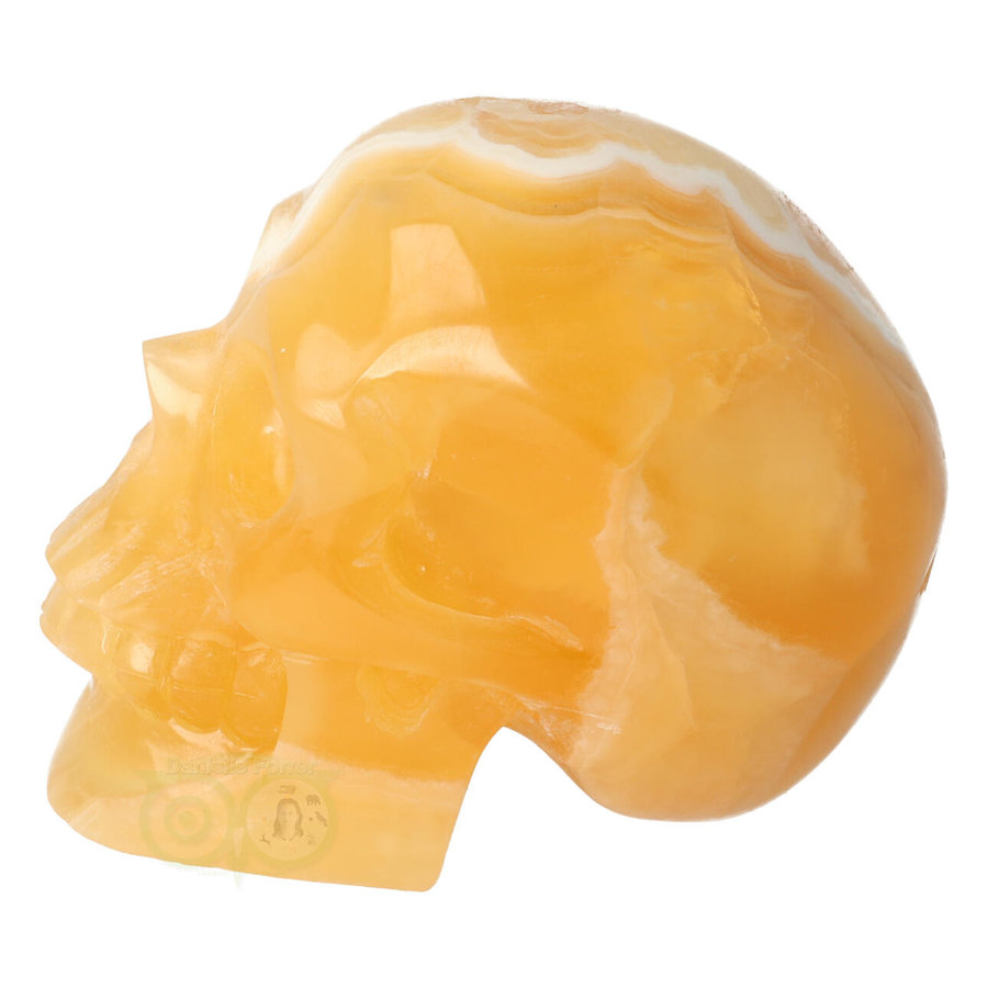 Oranje Calciet schedel 438 gram-5