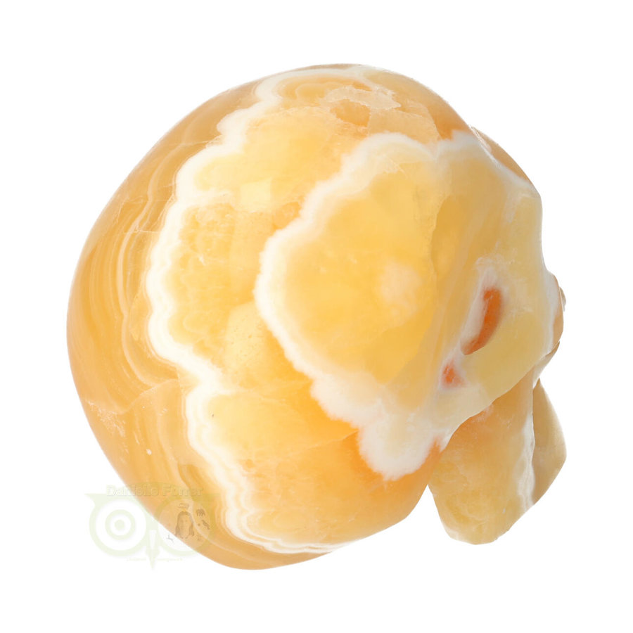 Oranje Calciet schedel 438 gram-8