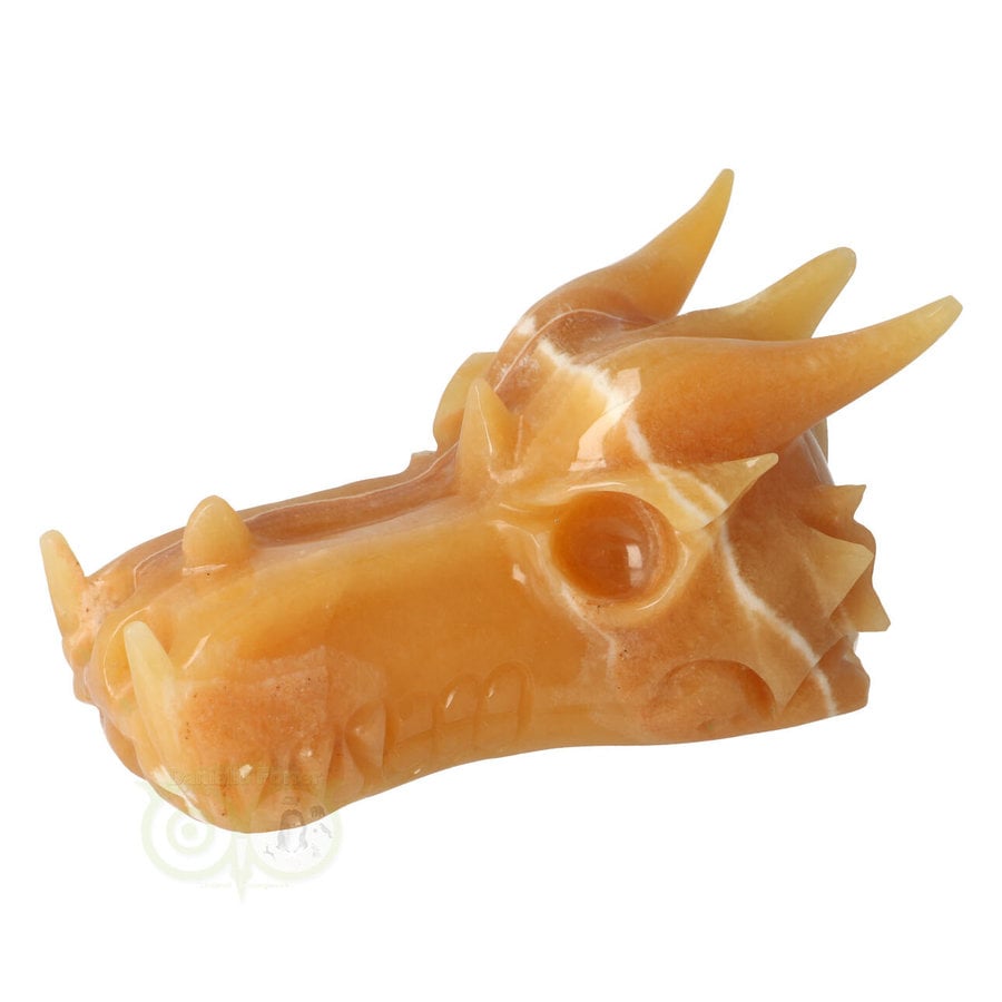 Calciet draken schedel 619 gram-2