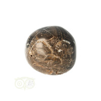 thumb-Stromatoliet Knuffelsteen Nr 25 - 25 gram-1
