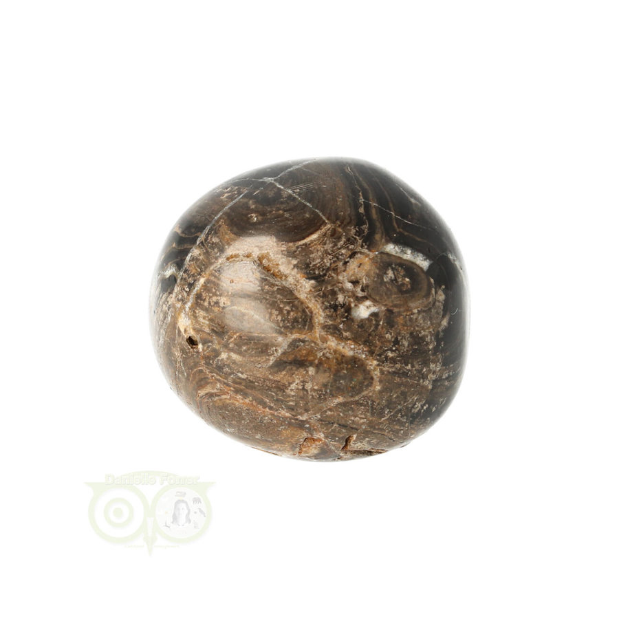 Stromatoliet Knuffelsteen Nr 25 - 25 gram-1