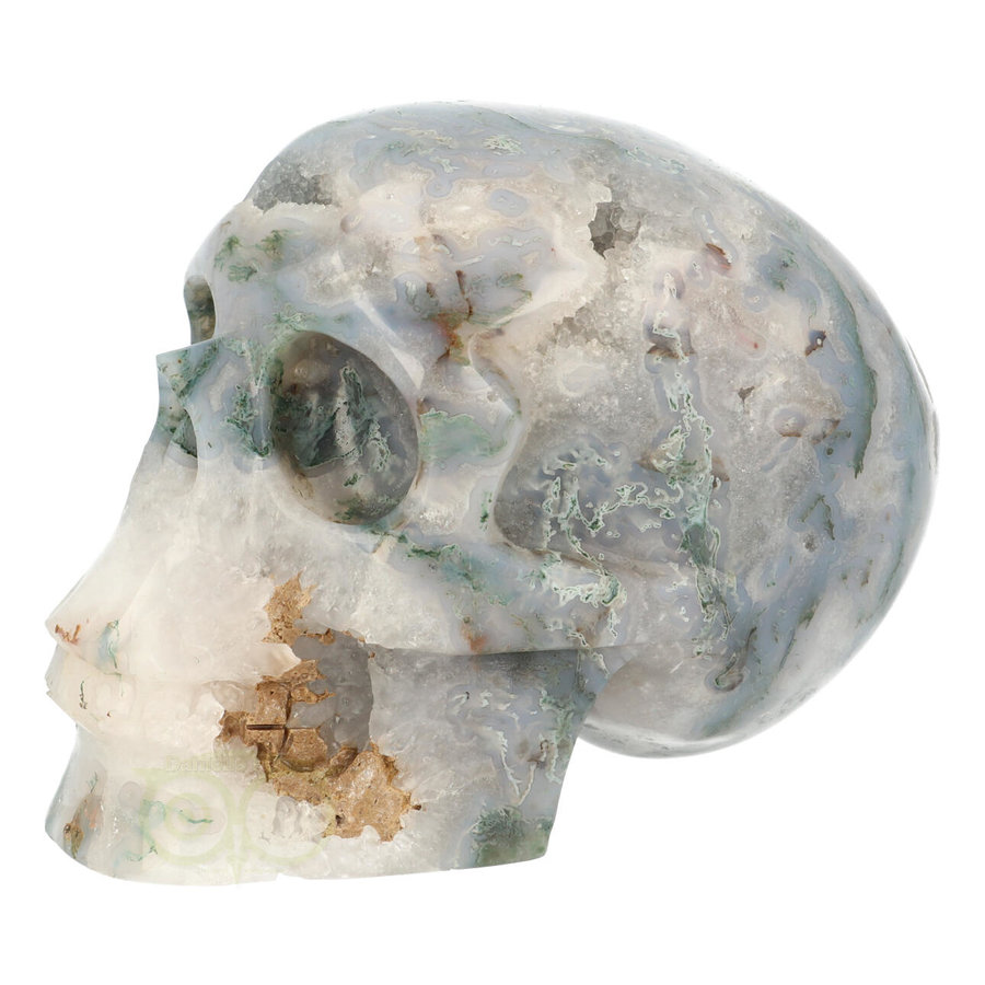 Mosagaat schedel 1482 gram-2