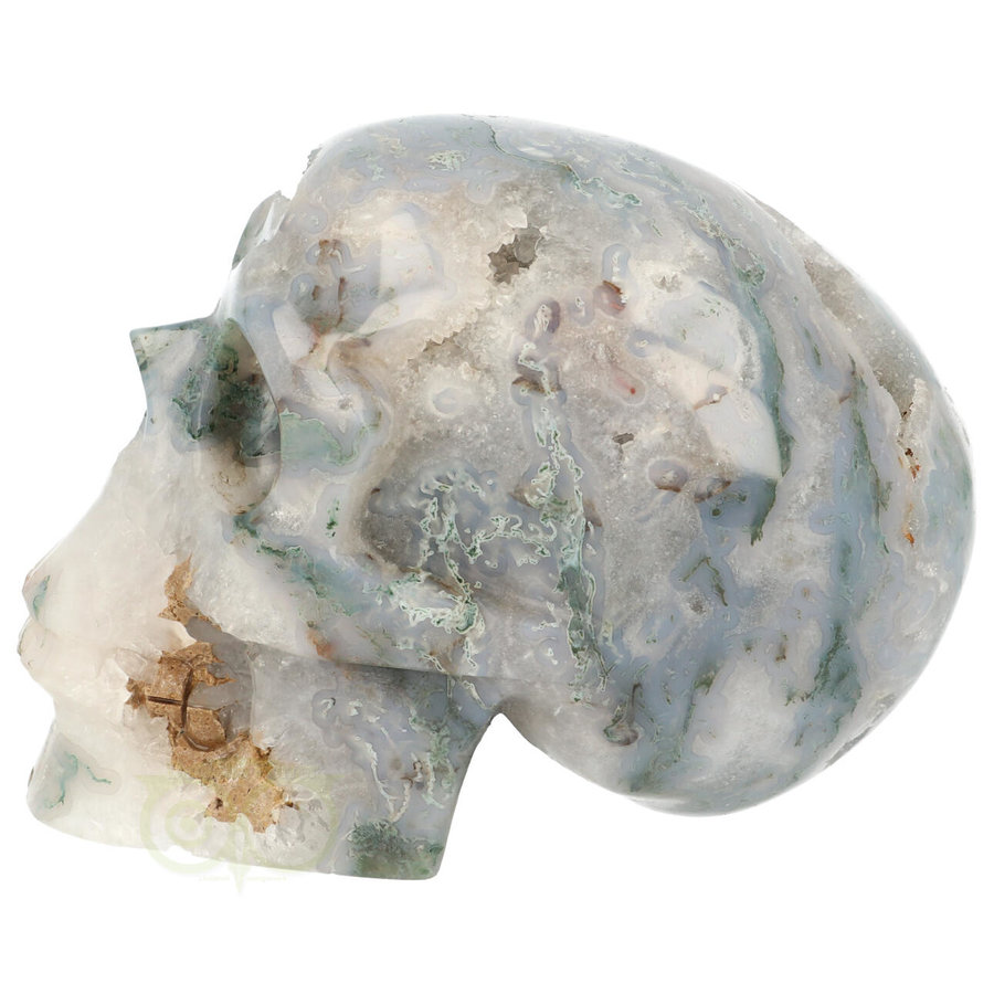 Mosagaat schedel 1482 gram-4