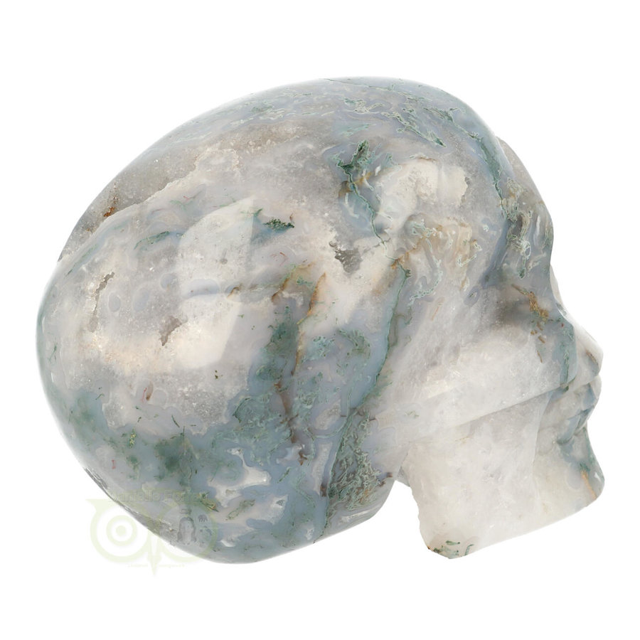 Mosagaat schedel 1482 gram-7