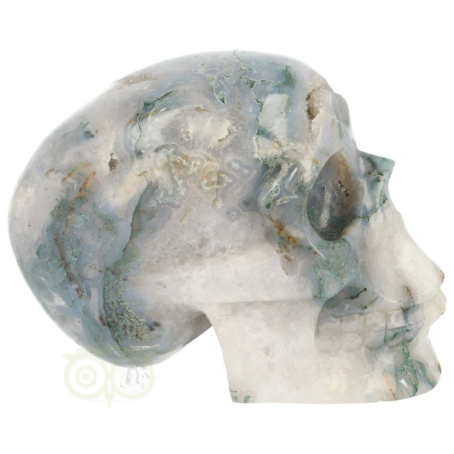 Mosagaat schedel 1482 gram-8