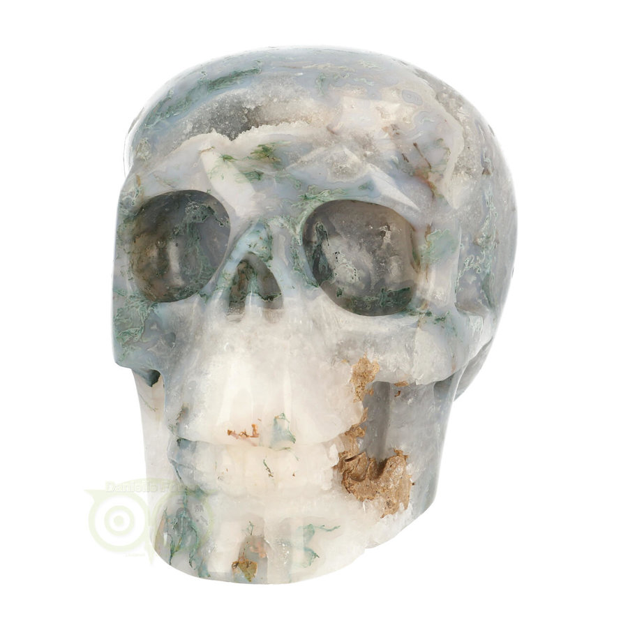 Mosagaat schedel 1482 gram-10