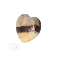 thumb-Septarie hart ± 3 cm Nr 12 - 22 gram - Madagaskar-4
