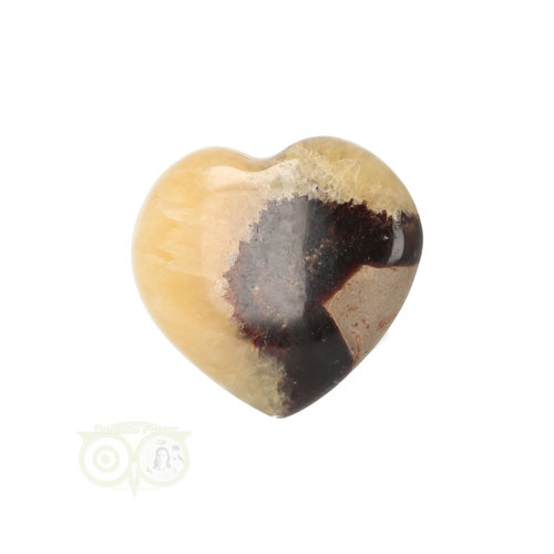 Septarie hart ± 3 cm Nr 22 