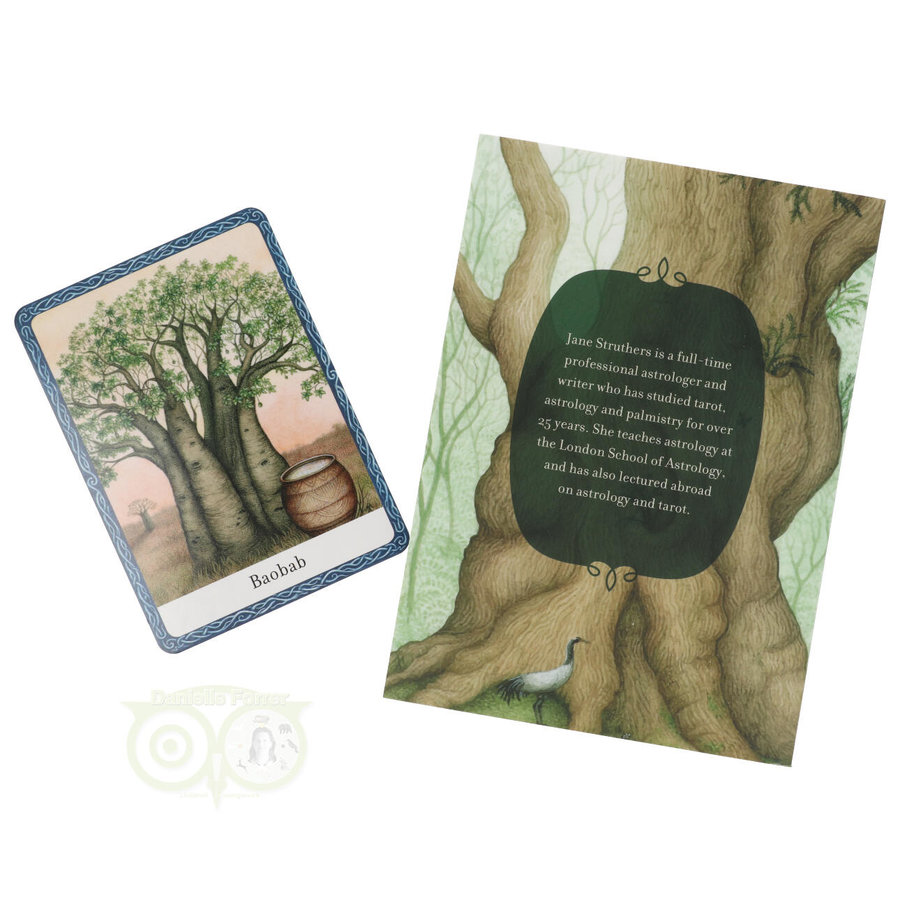 The Wisdom of Trees Oracle - Jane Struthers (Engelstalig)-4