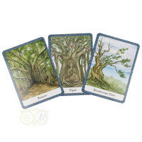 thumb-The Wisdom of Trees Oracle - Jane Struthers (Engelstalig)-6