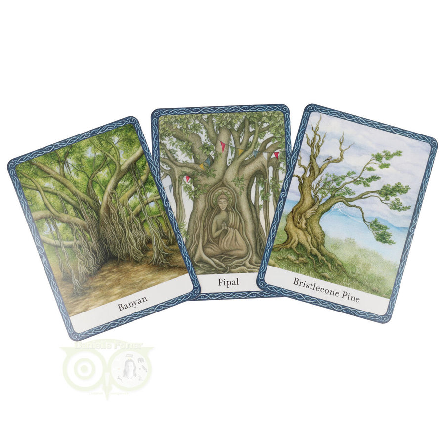 The Wisdom of Trees Oracle - Jane Struthers (Engelstalig)-6