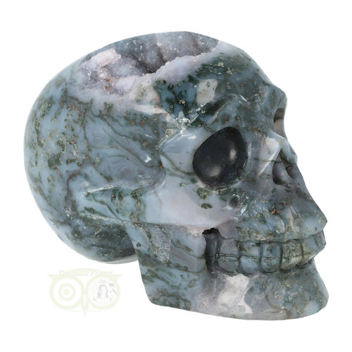 Mosagaat geode schedel 513 gram 