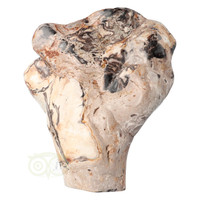 thumb-Versteend hout sculptuur nr 51 - 3867 gram-2