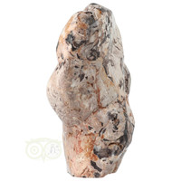 thumb-Versteend hout sculptuur nr 51 - 3867 gram-5