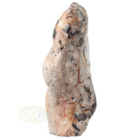 thumb-Versteend hout sculptuur nr 51 - 3867 gram-4