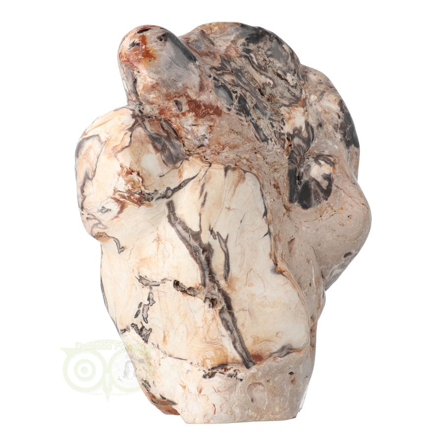 Versteend hout sculptuur nr 51 - 3867 gram-10