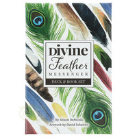 thumb-Divine Feather Messenger - Alison Denicola-2
