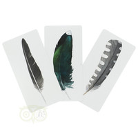thumb-Divine Feather Messenger - Alison Denicola-3