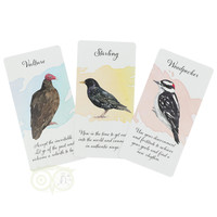 thumb-Divine Feather Messenger - Alison Denicola-4