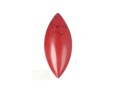 Rode Jaspis ovaal hanger Nr 8 