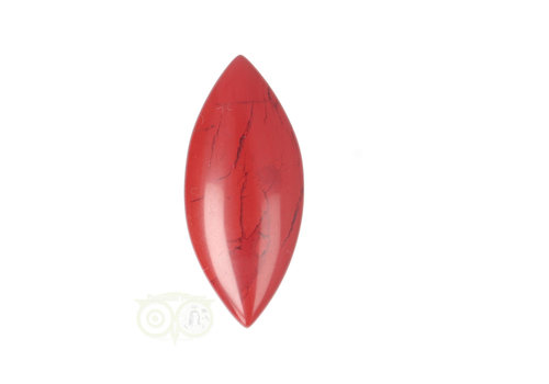 Rode Jaspis ovaal hanger Nr 9 