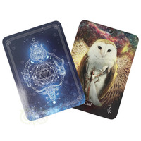 thumb-Divine Animals Oracle - Stacey Demarco (Engelse editie)-5