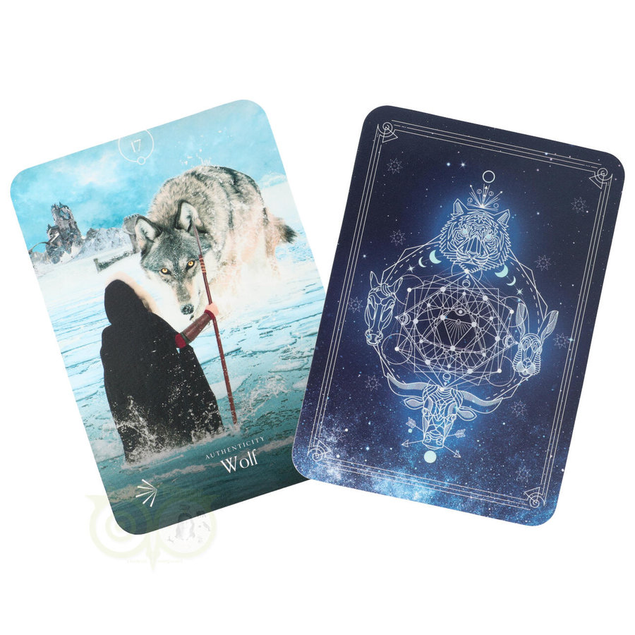 Divine Animals Oracle - Stacey Demarco (Engelse editie)-6