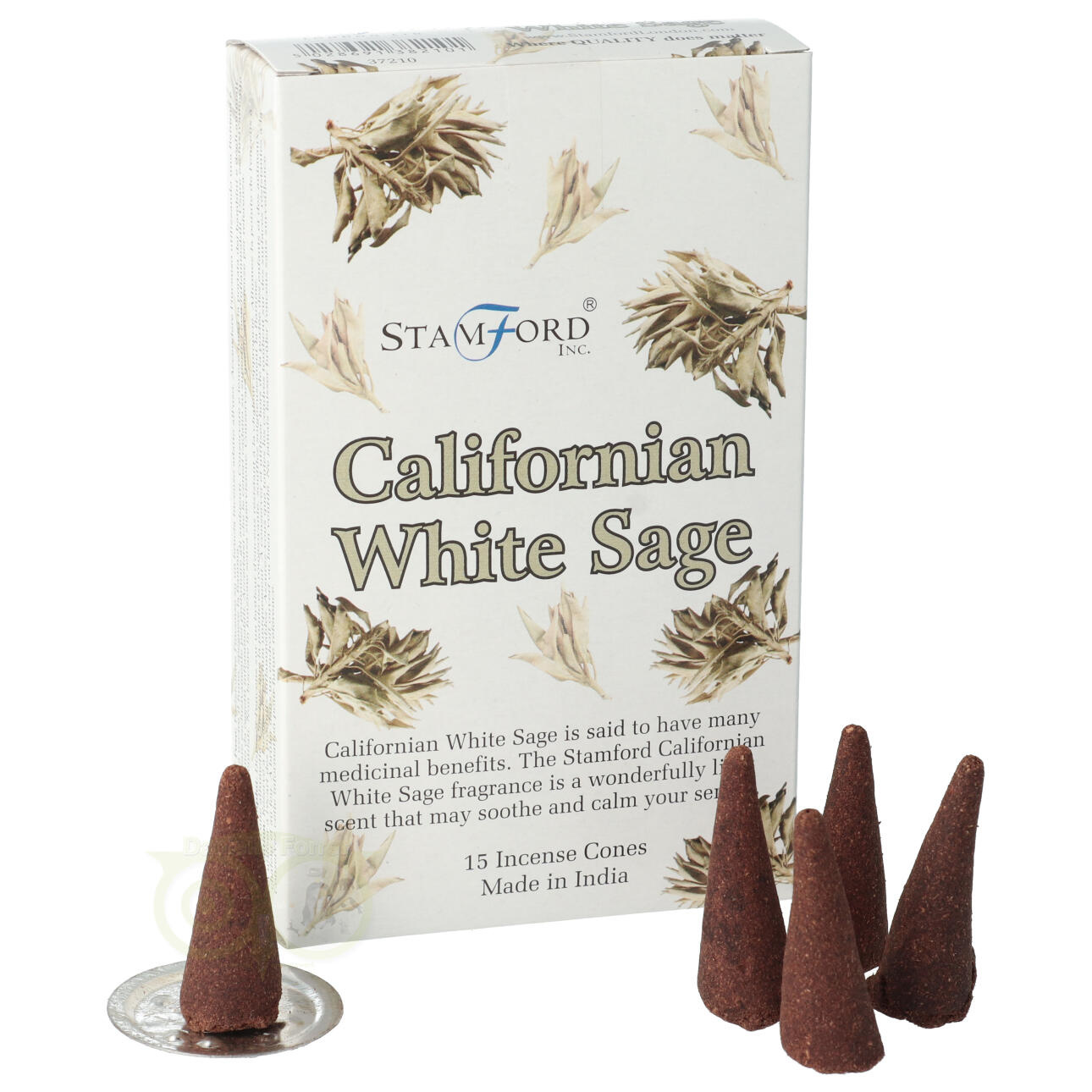 StamFord Californische Witte Salie - 15 Cones