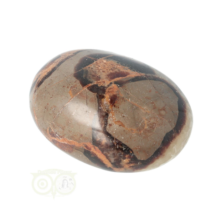 Septarie handsteen Groot nr 10 - 94 gram - Madagaskar-6