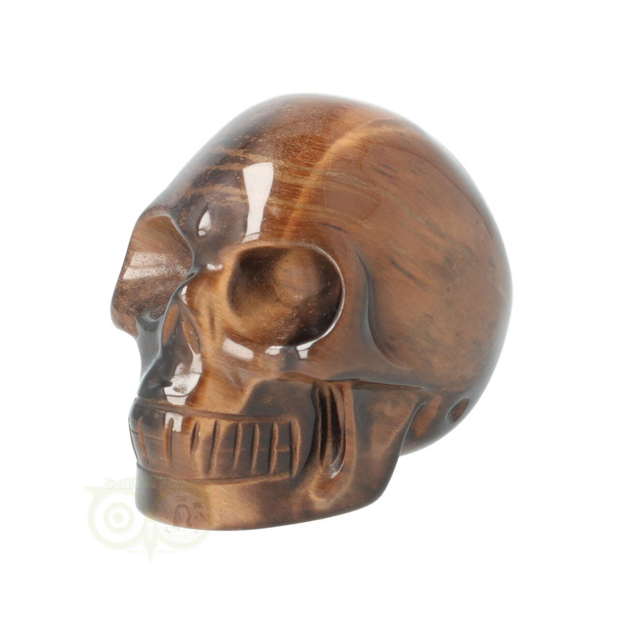 Tijgeroog schedel  Nr 4 - 93 gram-3
