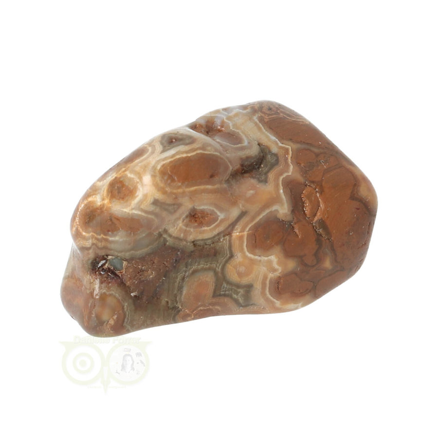 Oceaan Jaspis trommelsteen Nr 24 - 21 gram-3