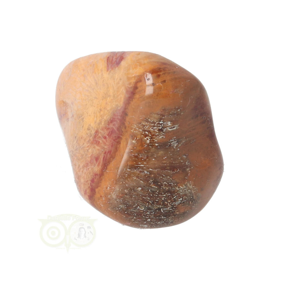 Fossiel Koraal trommelsteen Nr 8  - 23 gram-4