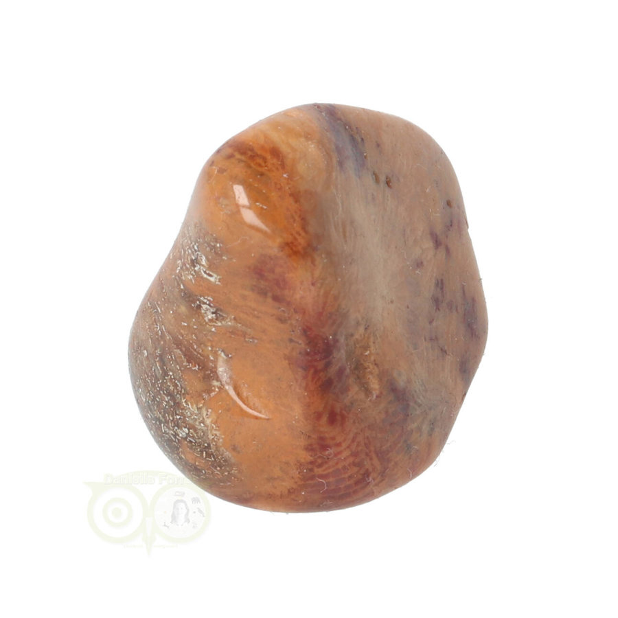 Fossiel Koraal trommelsteen Nr 8  - 23 gram-5