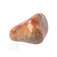 thumb-Fossiel Koraal trommelsteen Nr 8  - 23 gram-8