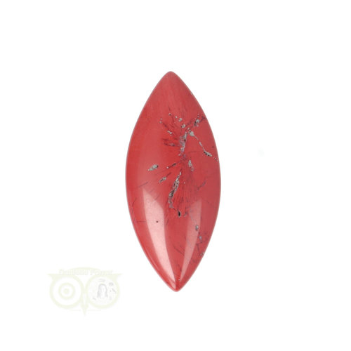 Rode Jaspis ovaal hanger Nr 12 