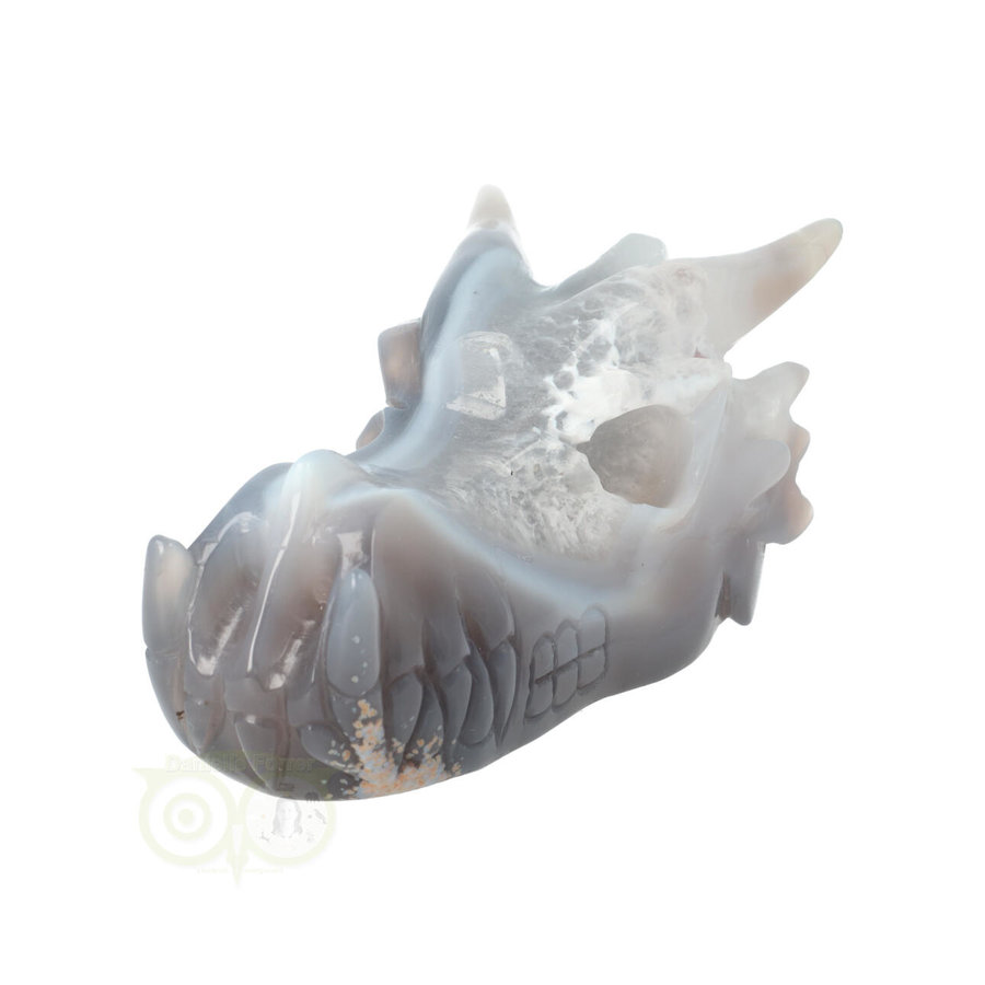 Agaat Drakenschedel 520 gram-5