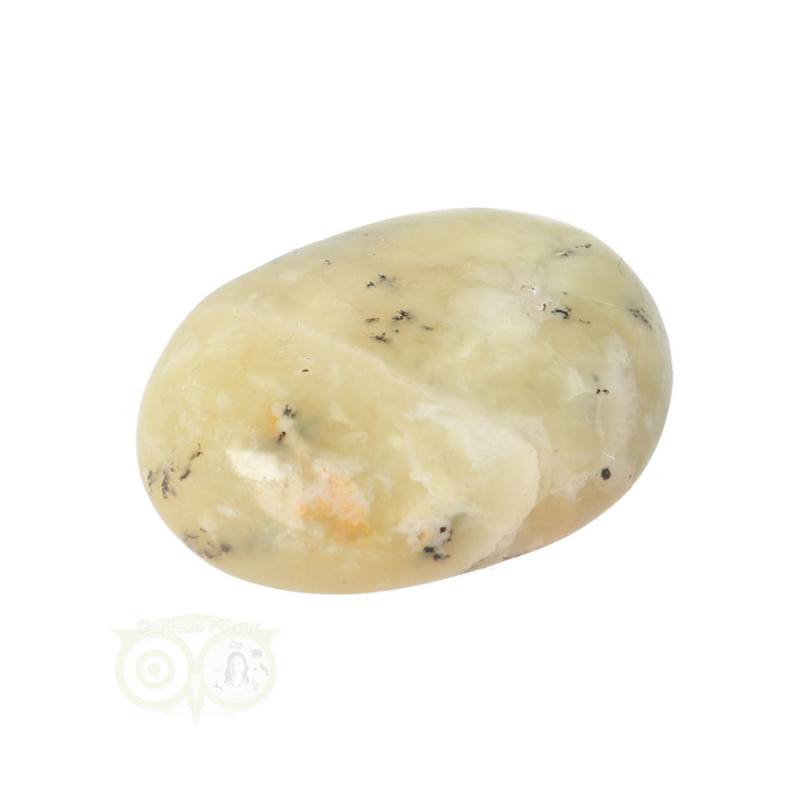 Dendriet Opaal - Agaat handsteen - Small Nr 23 - 15 gram-2