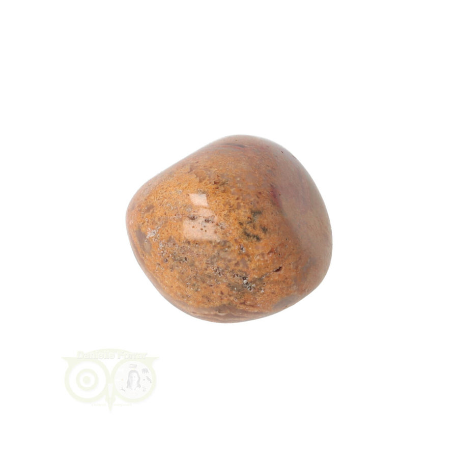 Crazy Lace Agaat trommelsteen Nr 22 -20 gram-7