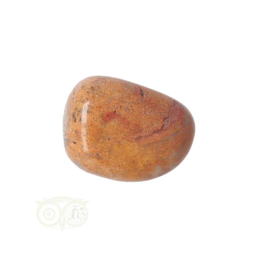 Crazy Lace Agaat trommelsteen Nr 22 -20 gram-8