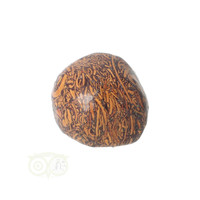 thumb-Coquina Jaspis trommelsteen Nr 9 - 22 gram-7