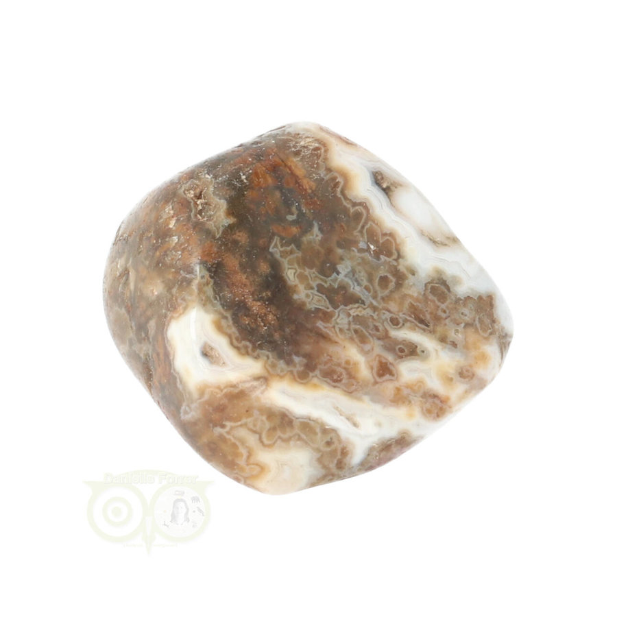 Oceaan Jaspis trommelsteen Nr 29 - 19 gram-6