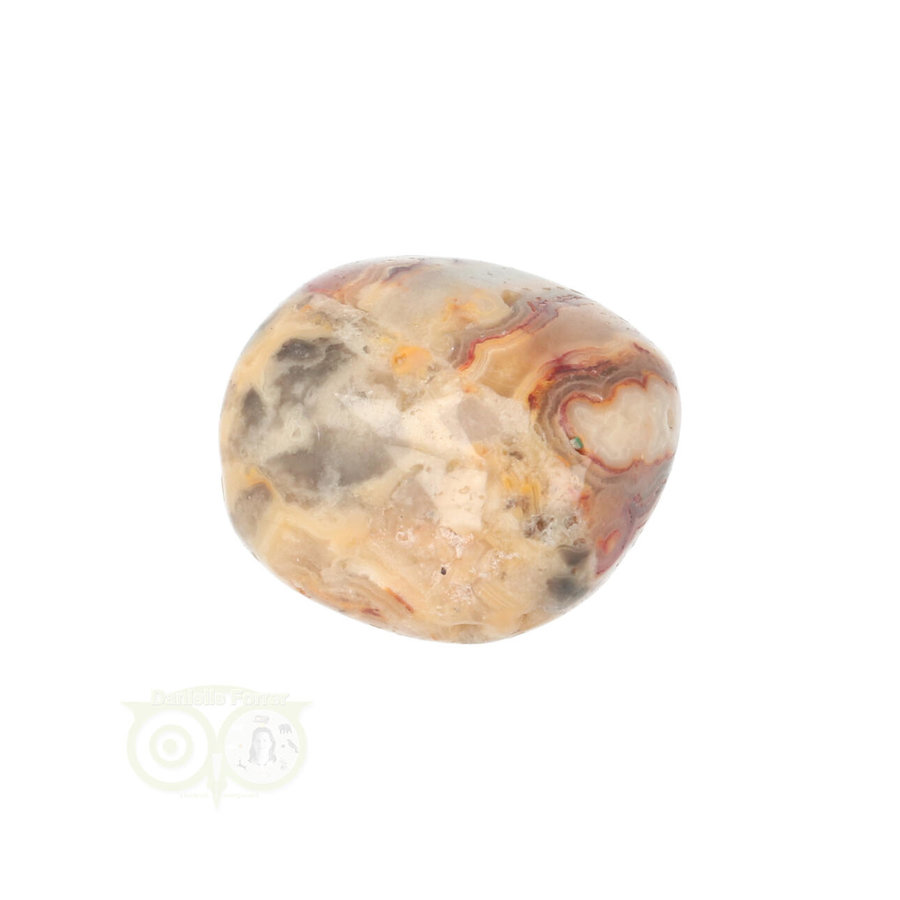 Crazy Lace Agaat trommelsteen Nr 24 - 19 gram-2