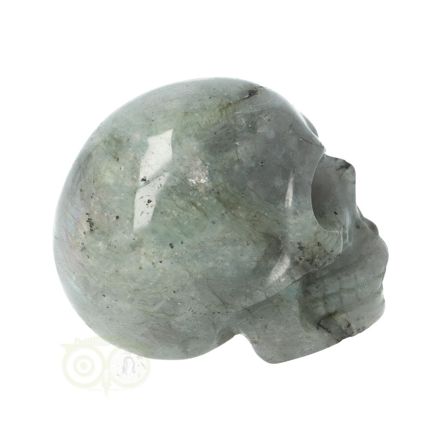 Labradoriet schedel Nr 8 - 91 gram-8