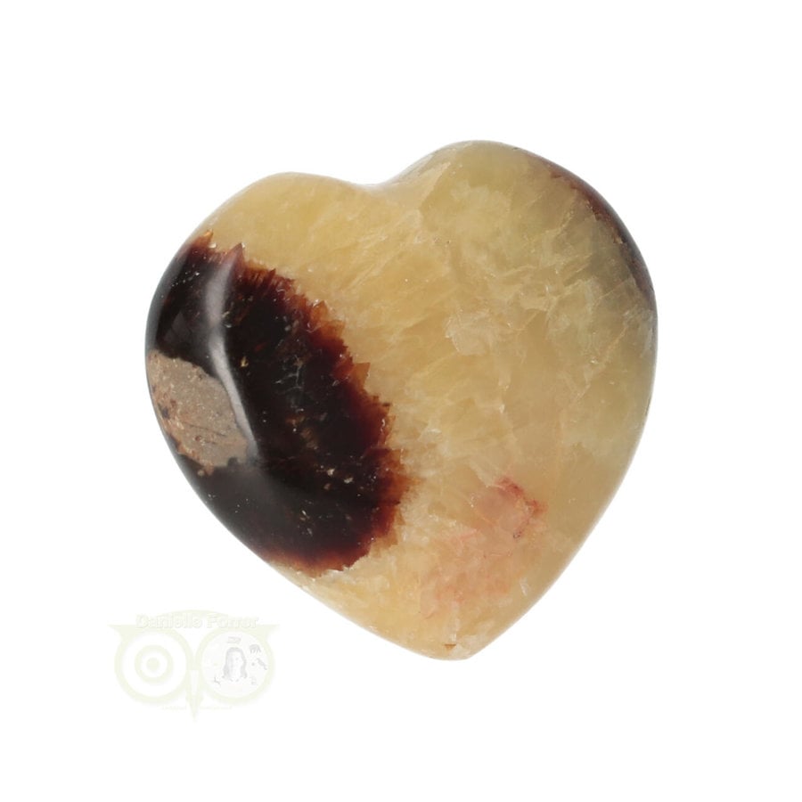 Septarie hart ± 3 cm Nr 24 - 16 gram - Madagaskar-2