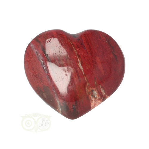 Versteend hout hart ± 3 cm  Nr 53 