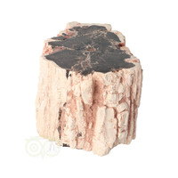 thumb-Versteend houten stam nr 38 - 546 gram-7