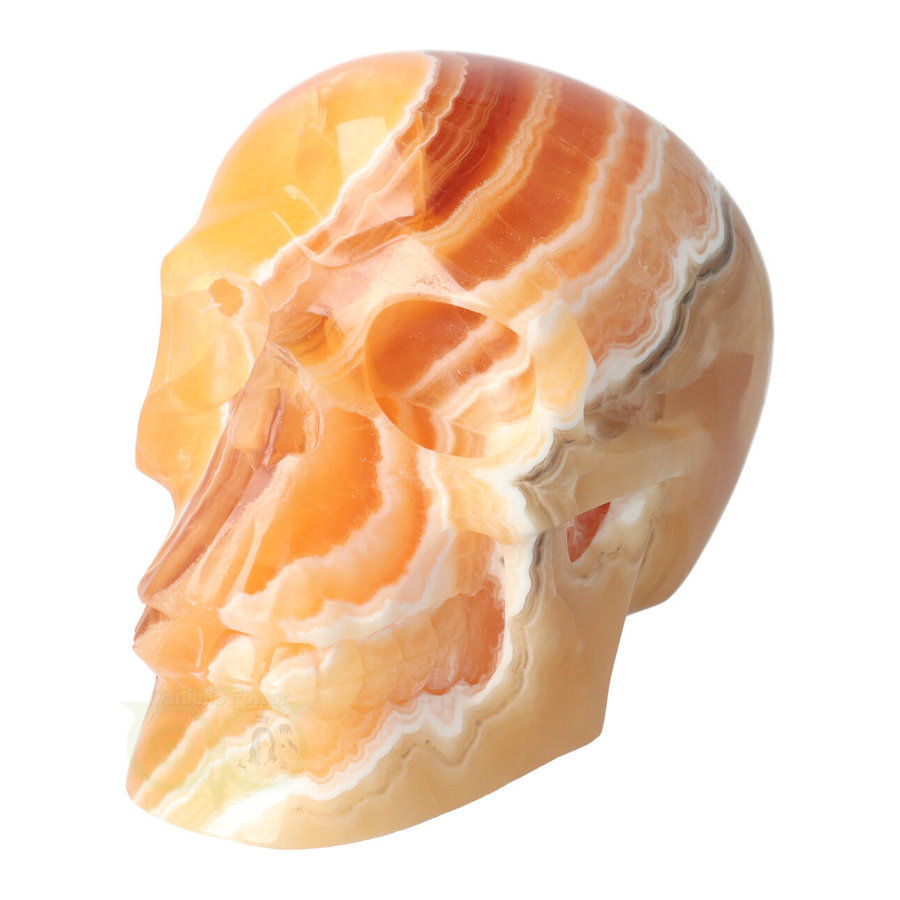 Oranje Calciet schedel 2769 gram-5