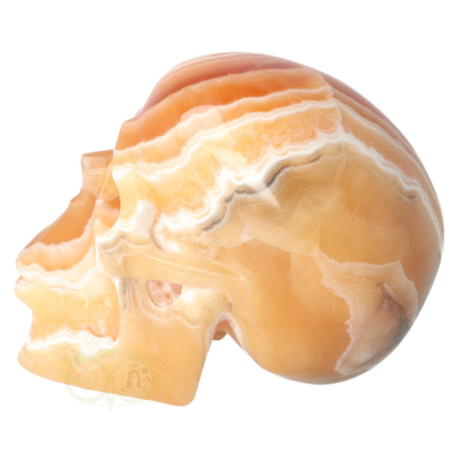 Oranje Calciet schedel 2769 gram-7